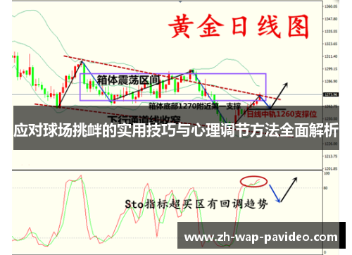 应对球场挑衅的实用技巧与心理调节方法全面解析 应对球场挑衅的实用技巧与心理调节方法全面解析