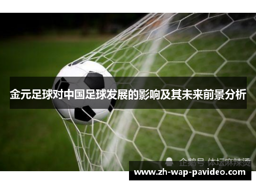 金元足球对中国足球发展的影响及其未来前景分析 金元足球对中国足球发展的影响及其未来前景分析