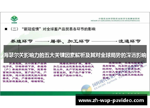 海瑟尔关影响力的五大关键因素解析及其对全球局势的深远影响