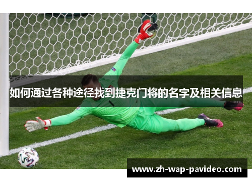 如何通过各种途径找到捷克门将的名字及相关信息 如何通过各种途径找到捷克门将的名字及相关信息