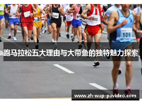 跑马拉松五大理由与大带鱼的独特魅力探索