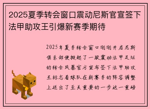 2025夏季转会窗口震动尼斯官宣签下法甲助攻王引爆新赛季期待