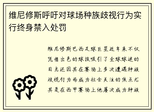 维尼修斯呼吁对球场种族歧视行为实行终身禁入处罚